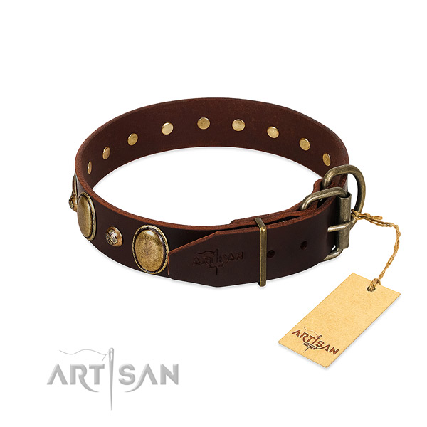 Rust resistant fittings on genuine leather collar for fancy walking your doggie