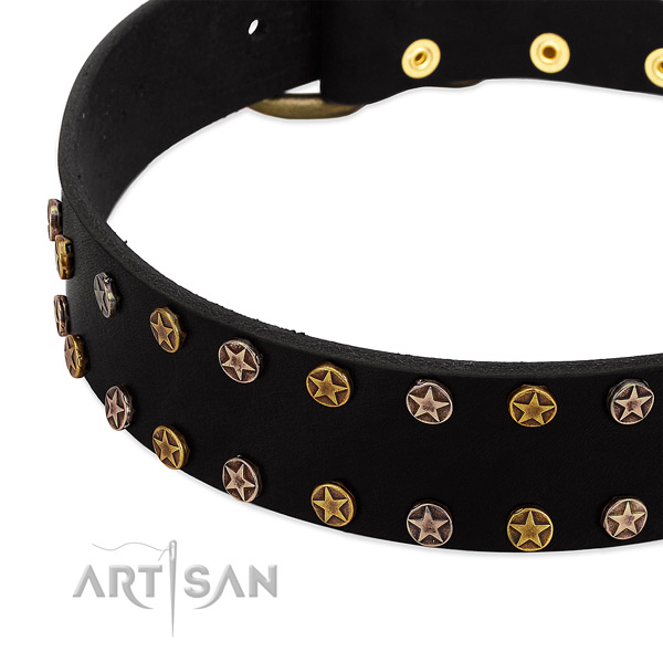 Amazing embellishments on leather collar for your four-legged friend