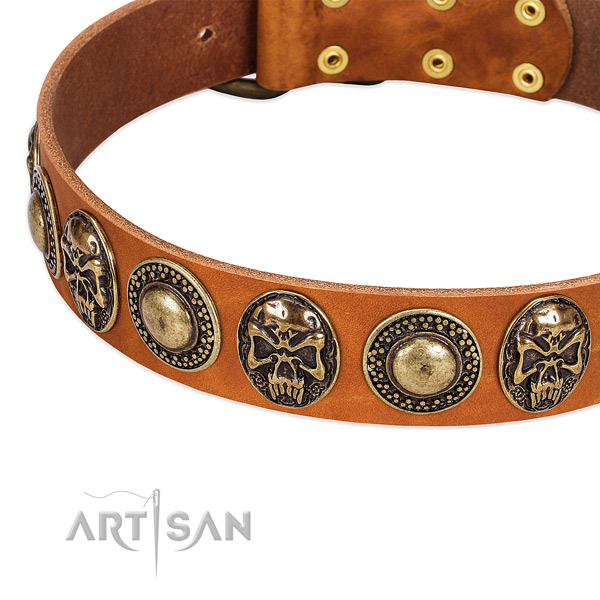 Durable traditional buckle on full grain leather dog collar for your doggie