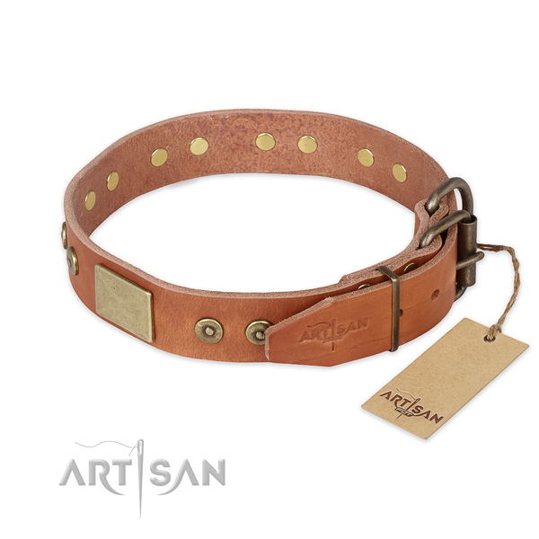 Corrosion resistant fittings on leather collar for daily walking your four-legged friend