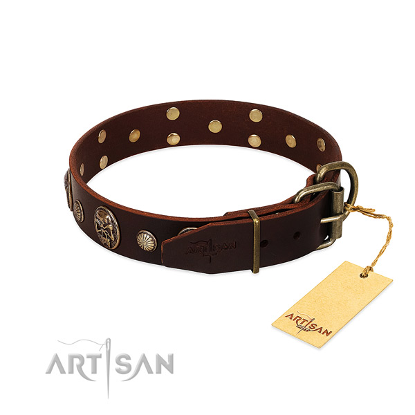 Corrosion proof adornments on everyday use dog collar