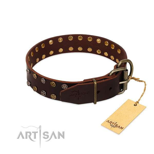 Walking natural leather dog collar with incredible embellishments