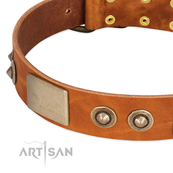 Rust resistant fittings on leather dog collar for your dog