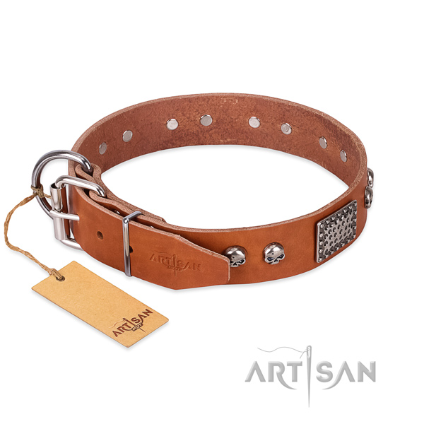 Rust-proof studs on basic training dog collar