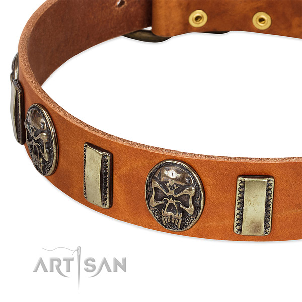 Reliable adornments on full grain leather dog collar for your four-legged friend