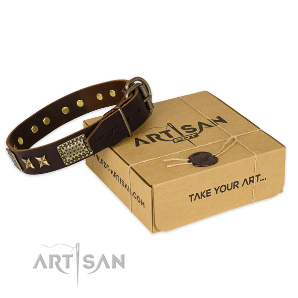 Rust-proof hardware on leather collar for your stylish dog