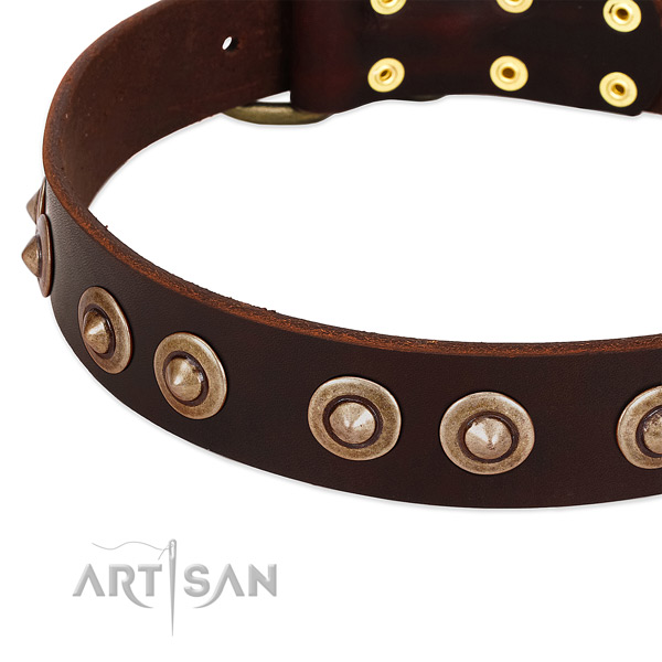 Corrosion resistant adornments on full grain natural leather dog collar for your dog