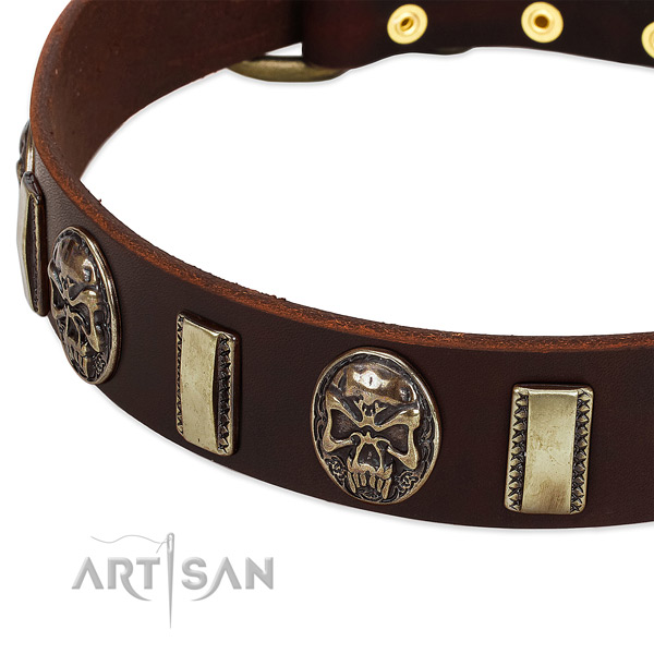 Strong buckle on full grain genuine leather dog collar for your four-legged friend