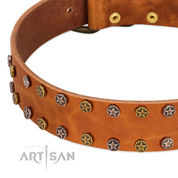 Stylish walking genuine leather dog collar with stylish design decorations