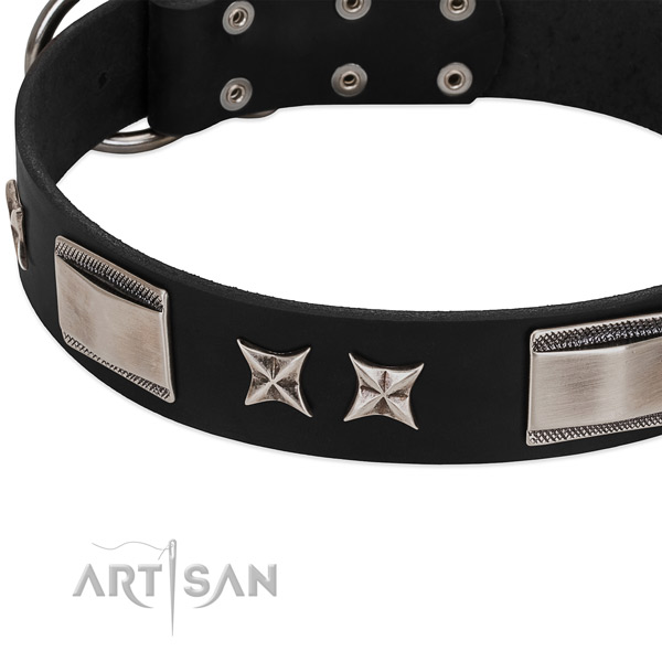Reliable leather dog collar with strong hardware