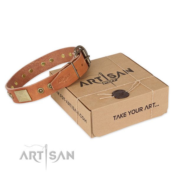 Durable buckle on full grain leather dog collar for everyday use