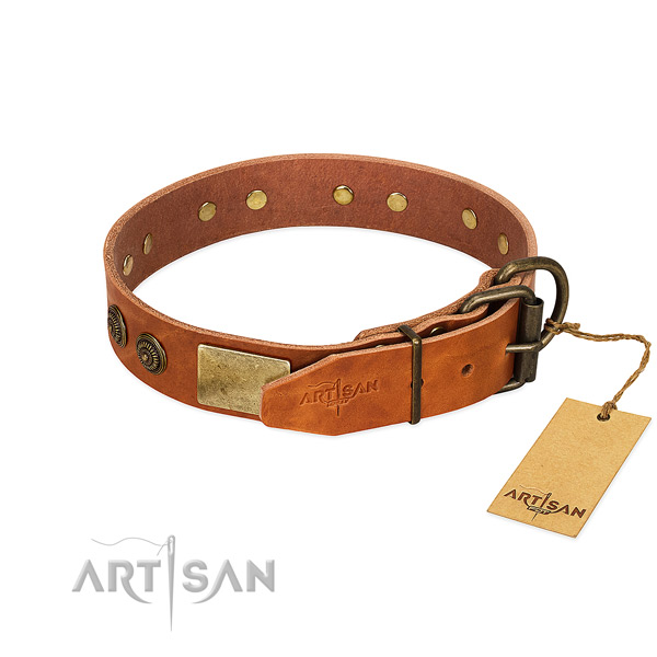 Rust-proof traditional buckle on full grain genuine leather collar for daily walking your dog