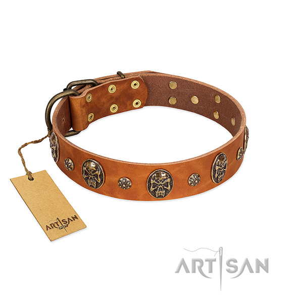 Studded natural genuine leather collar for your four-legged friend