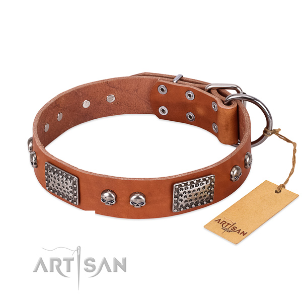 Easy to adjust leather dog collar for stylish walking your canine