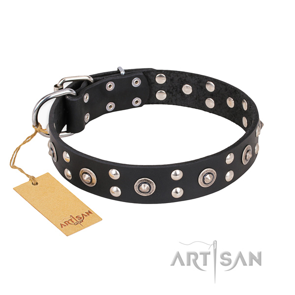 Walking top notch dog collar with strong D-ring