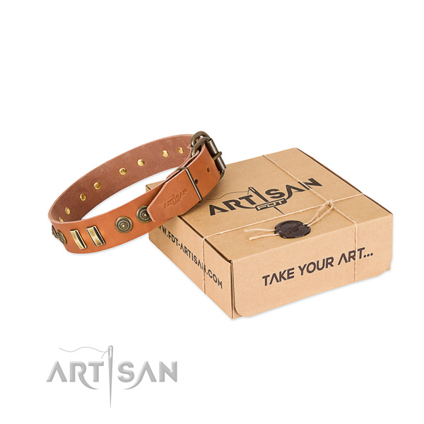Rust-proof decorations on natural leather dog collar for your dog