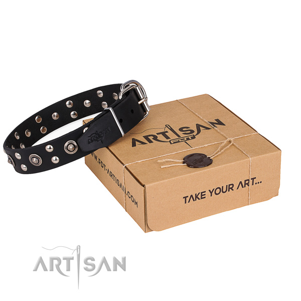 Daily walking dog collar with Fashionable corrosion proof studs