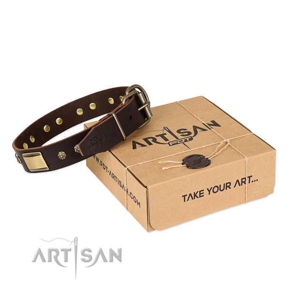 Extraordinary genuine leather collar for your attractive pet