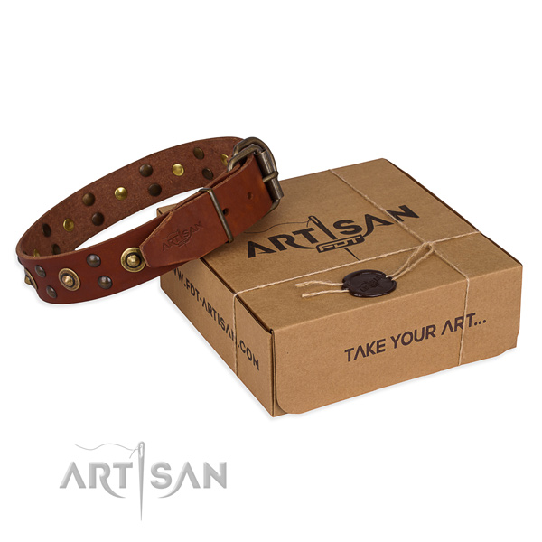 Strong fittings on full grain genuine leather collar for your impressive four-legged friend