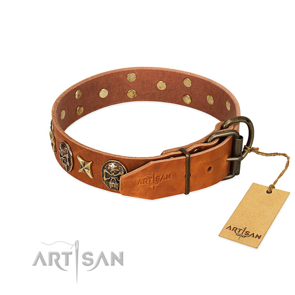 Full grain natural leather dog collar with reliable fittings and adornments