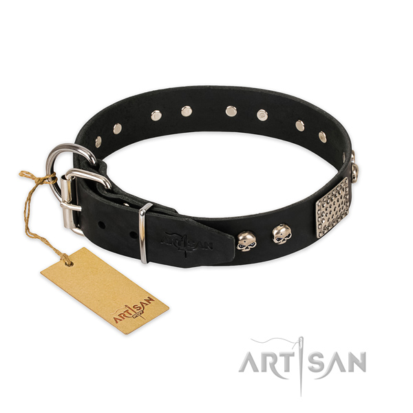 Rust-proof decorations on everyday use dog collar