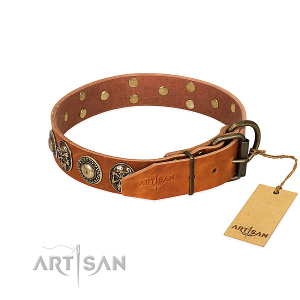 Durable embellishments on easy wearing dog collar