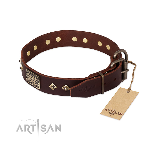 Full grain leather dog collar with rust-proof hardware and decorations