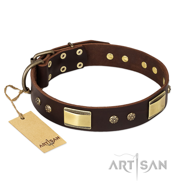 Genuine leather dog collar with reliable hardware and decorations