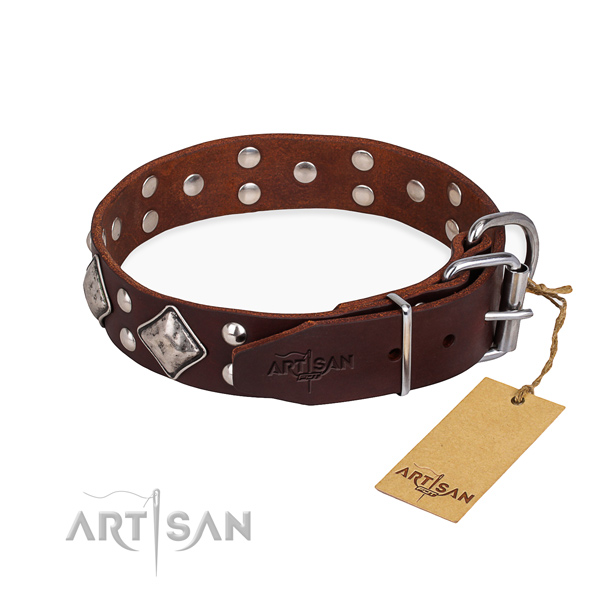 Genuine leather dog collar with trendy reliable embellishments