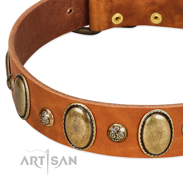 Natural leather dog collar with stylish design decorations