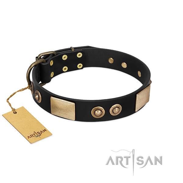 Adjustable full grain natural leather dog collar for walking your dog