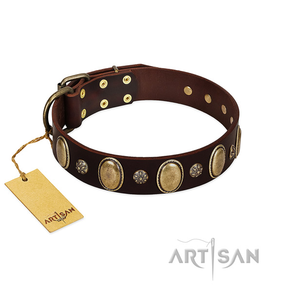 Fancy walking soft leather dog collar with embellishments