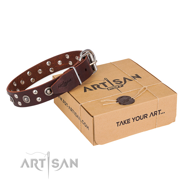 Corrosion resistant fittings on full grain leather collar for your stylish four-legged friend