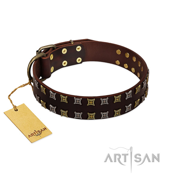 Top rate genuine leather dog collar with embellishments for your dog