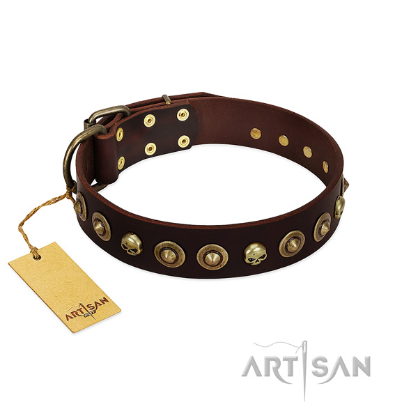 Natural leather collar with fashionable studs for your pet