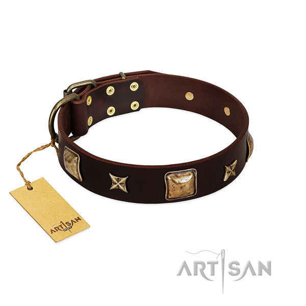 Extraordinary full grain genuine leather collar for your dog