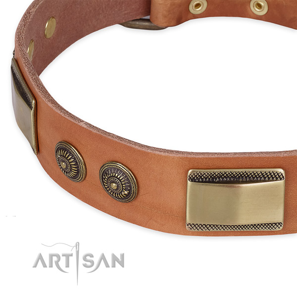 Durable studs on full grain leather dog collar for your dog