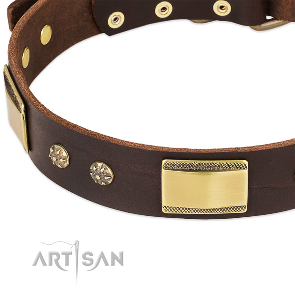 Reliable adornments on full grain natural leather dog collar for your four-legged friend