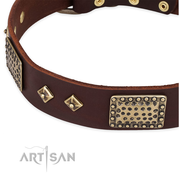 Rust-proof fittings on genuine leather dog collar for your dog