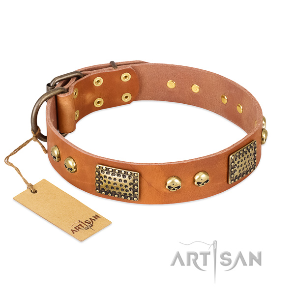 Easy wearing full grain leather dog collar for walking your dog