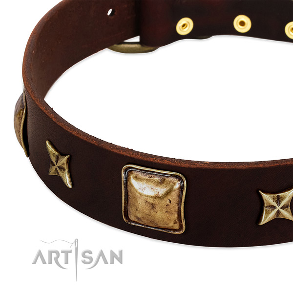 Strong adornments on leather dog collar for your dog