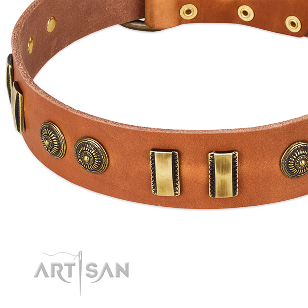 Durable buckle on leather dog collar for your four-legged friend