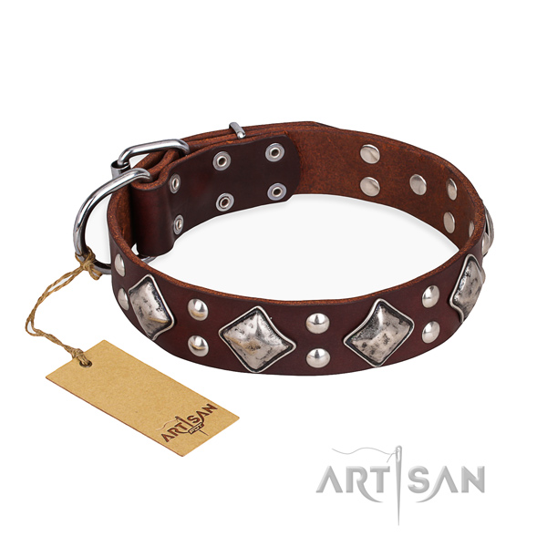 Daily walking stunning dog collar with strong fittings