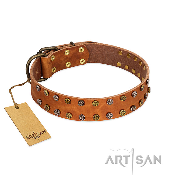 Daily walking top rate genuine leather dog collar with adornments