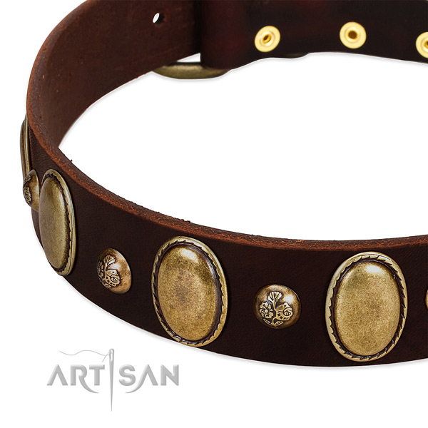 Genuine leather dog collar with impressive embellishments