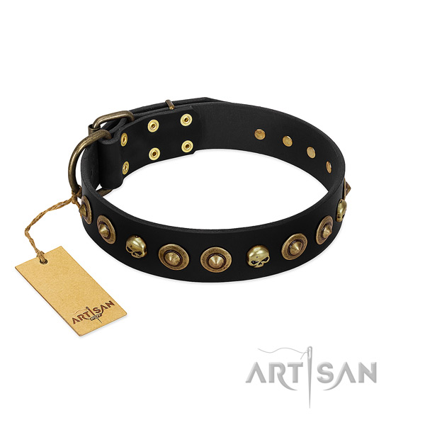 Leather collar with top notch studs for your doggie