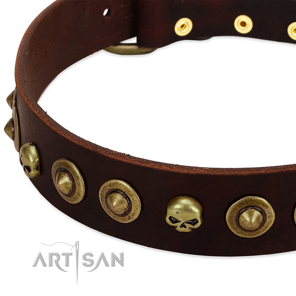 Stylish design decorations on full grain leather collar for your pet