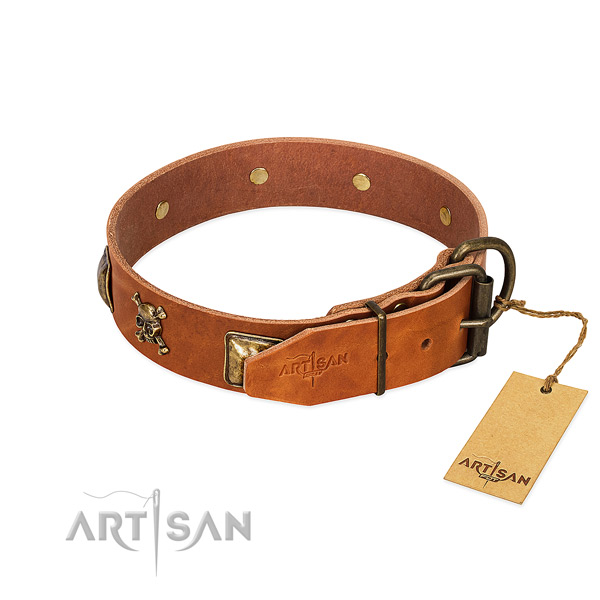 Top notch genuine leather dog collar with corrosion resistant adornments